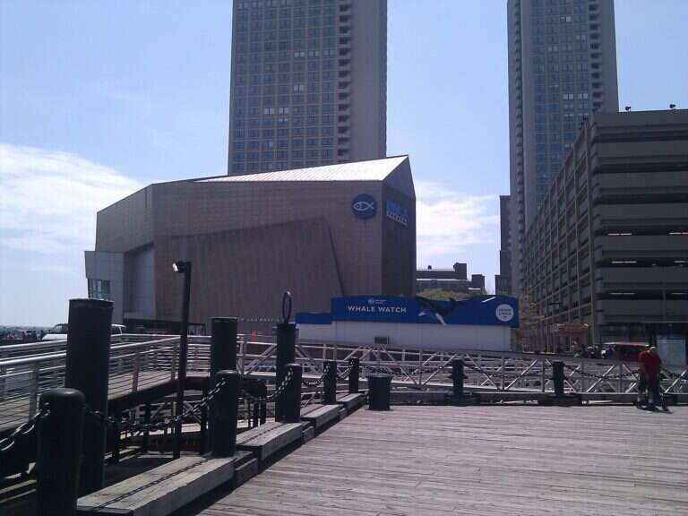 New England Aquarium in Boston, United States