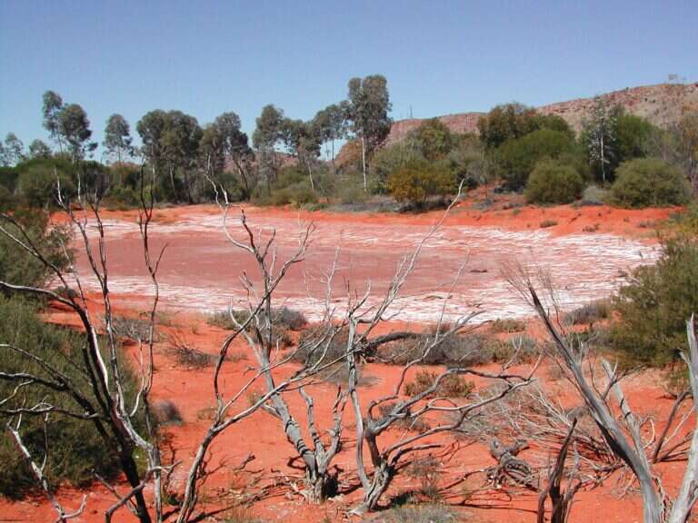 Alice Springs Desert Park in Alice Springs, Australia