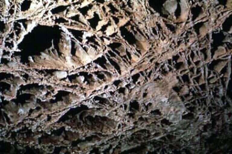 Wind Cave National Park in United States, North America