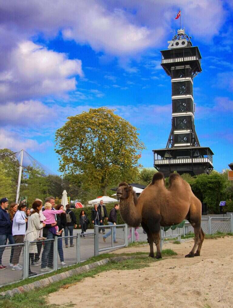 Copenhagen Zoo in Copenhagen, Denmark