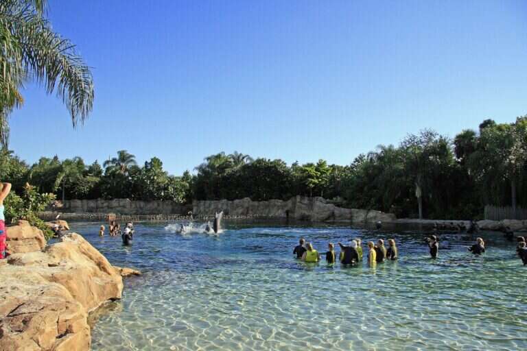 Discovery Cove in Orlando, United States