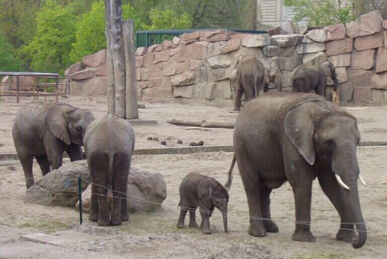 Tierpark Berlin in Berlin, Germany