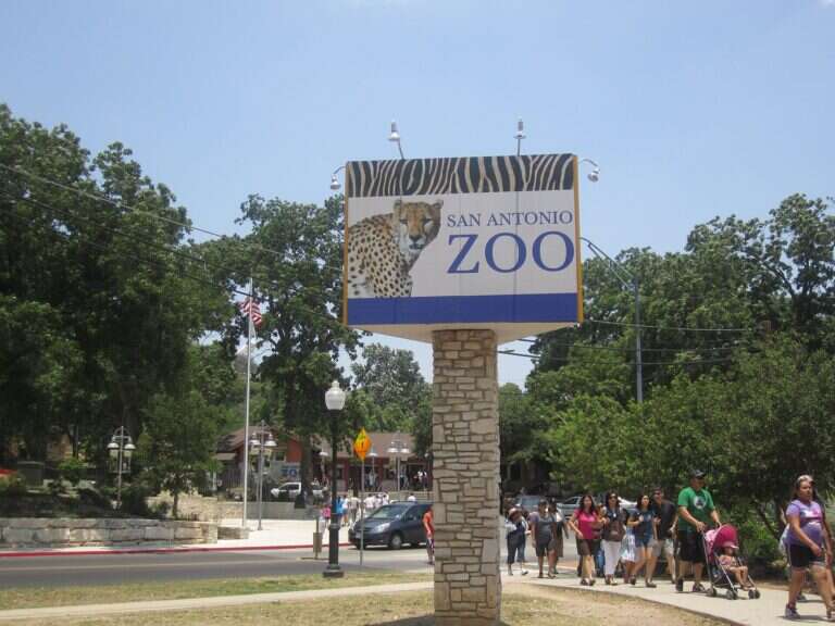 San Antonio Zoo in San Antonio, United States