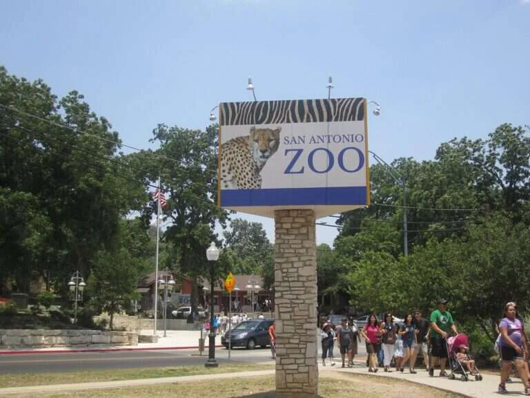San Antonio Zoo in San Antonio, United States