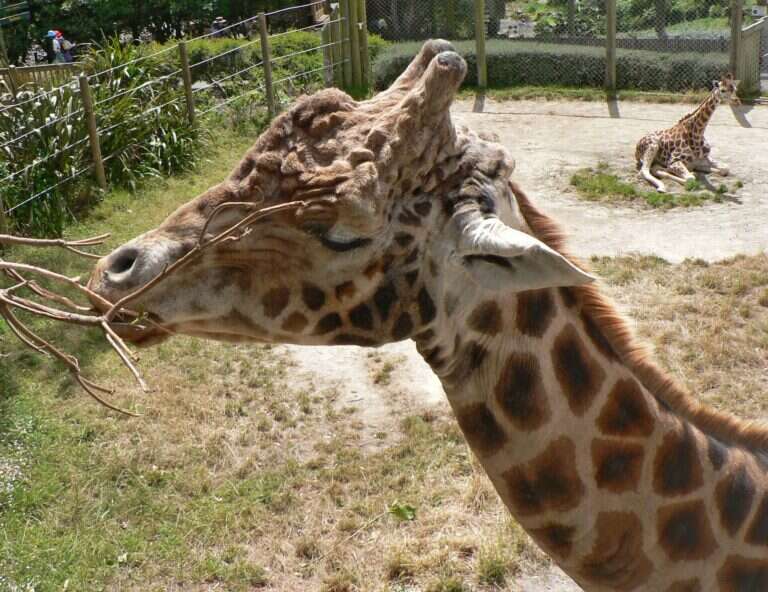 Wellington Zoo in Wellington, New Zealand