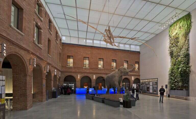Muséum de Toulouse in Toulouse, France