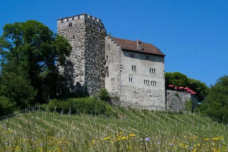 Habsburg Castle in Brugg, Switzerland