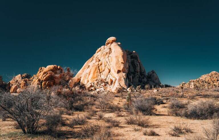 Joshua Tree National Park in Coachella, United States