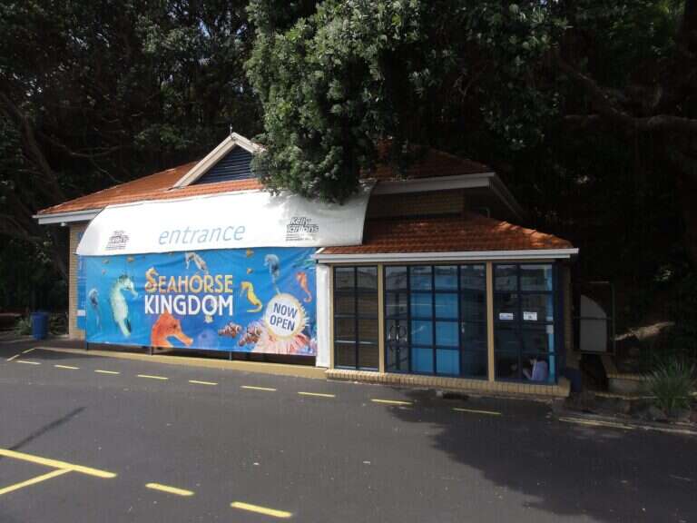 Kelly Tarlton's Sea Life Aquarium in Auckland, New Zealand