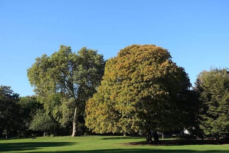 parc Montsouris in Paris, France