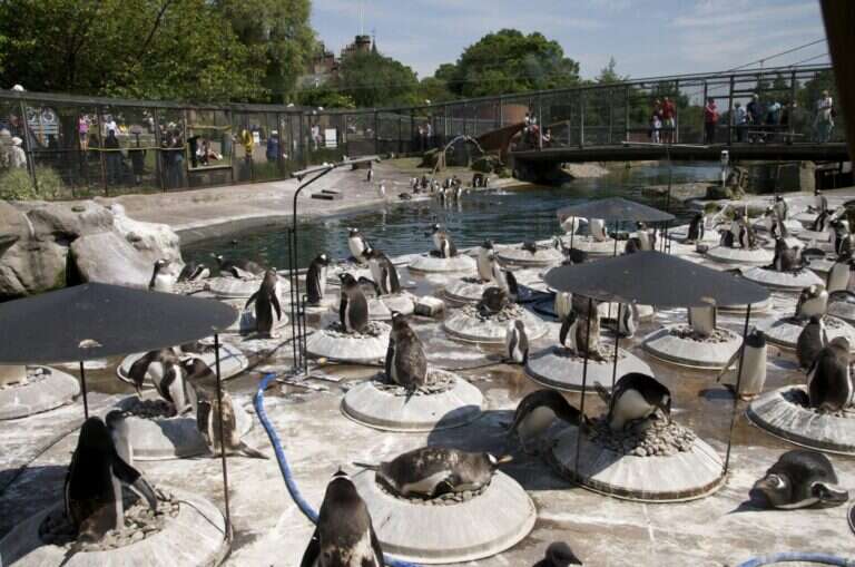 Edinburgh Zoo in Edinburgh, United Kingdom