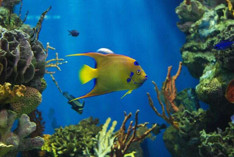 Aquarium Barcelona in Barcelona, Spain