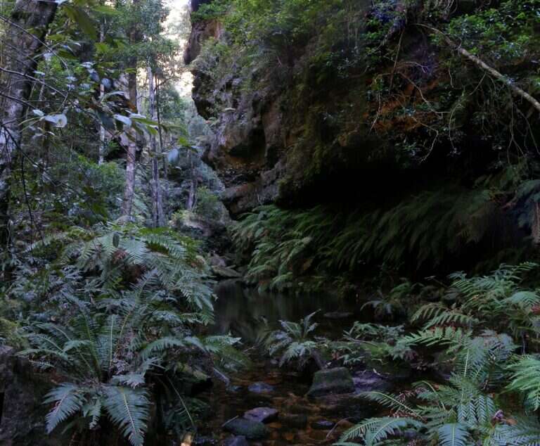 Blue Mountains National Park in Katoomba, Australia