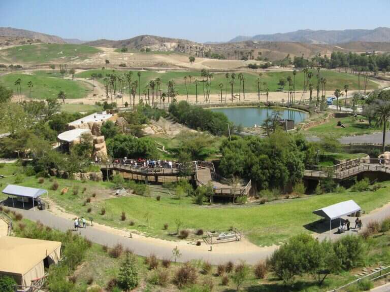 San Diego Zoo Safari Park in Escondido, United States
