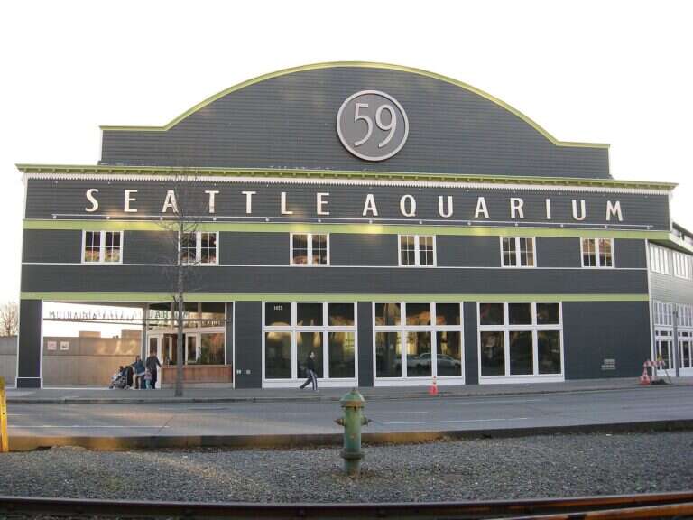 Seattle Aquarium in Seattle, United States