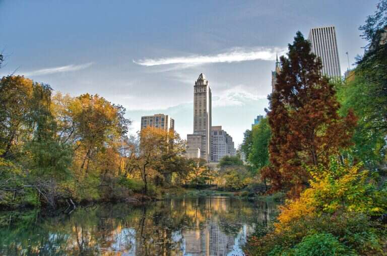 Central Park in New York, United States