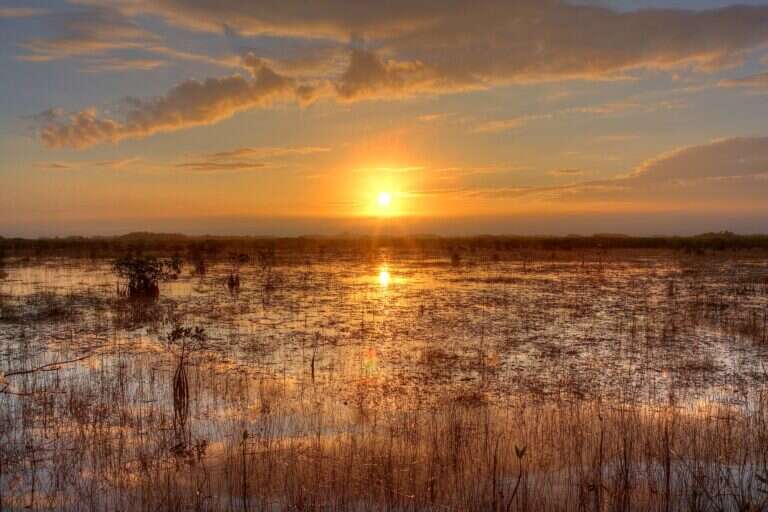 Everglades National Park in Homestead, United States
