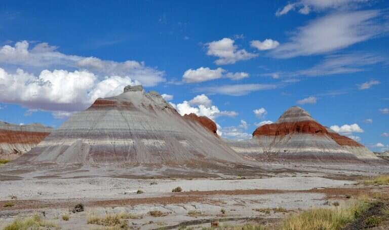 Petrified Forest National Park in Holbrook, United States