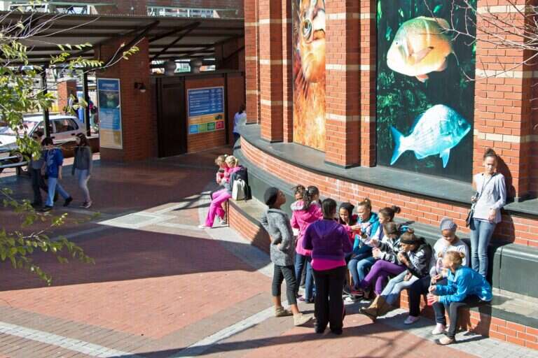 Two Oceans Aquarium in Cape Town, South Africa