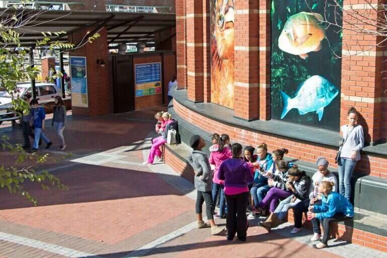 Two Oceans Aquarium in Cape Town, South Africa