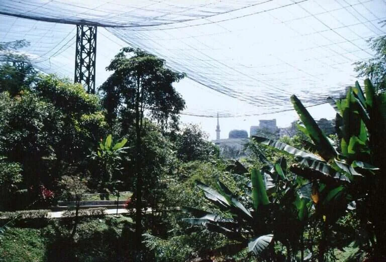 Kuala Lumpur Bird Park in Kuala Lumpur, Malaysia
