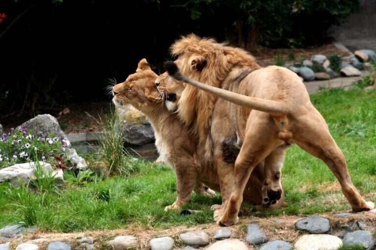San Francisco Zoo in San Francisco, United States