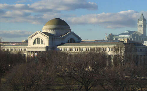 National Museum of Natural History in Washington, D.C., United States