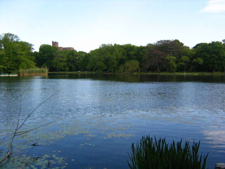 Prospect Park in New York, United States