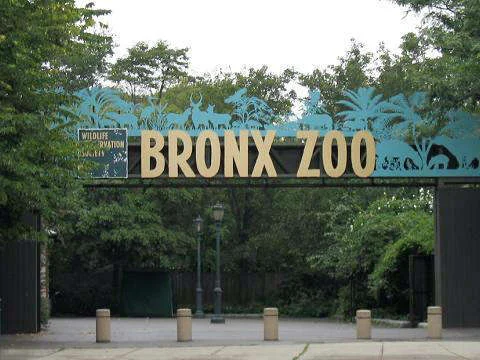 Bronx Zoo in New York, United States