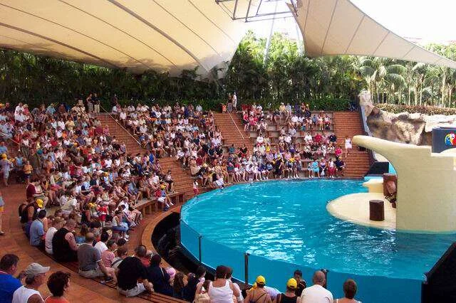 Loro Parque in Puerto de la Cruz, Spain