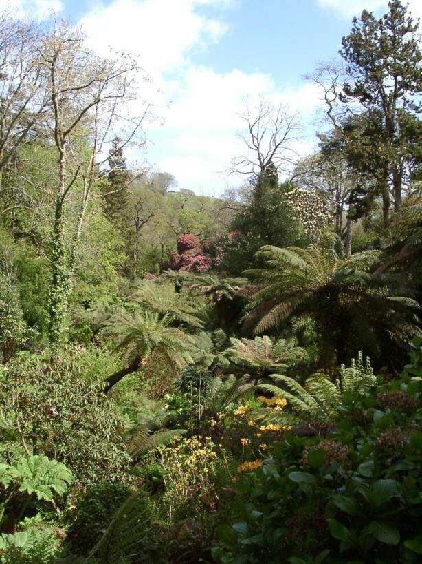 Lost Gardens of Heligan in Plymouth, United Kingdom