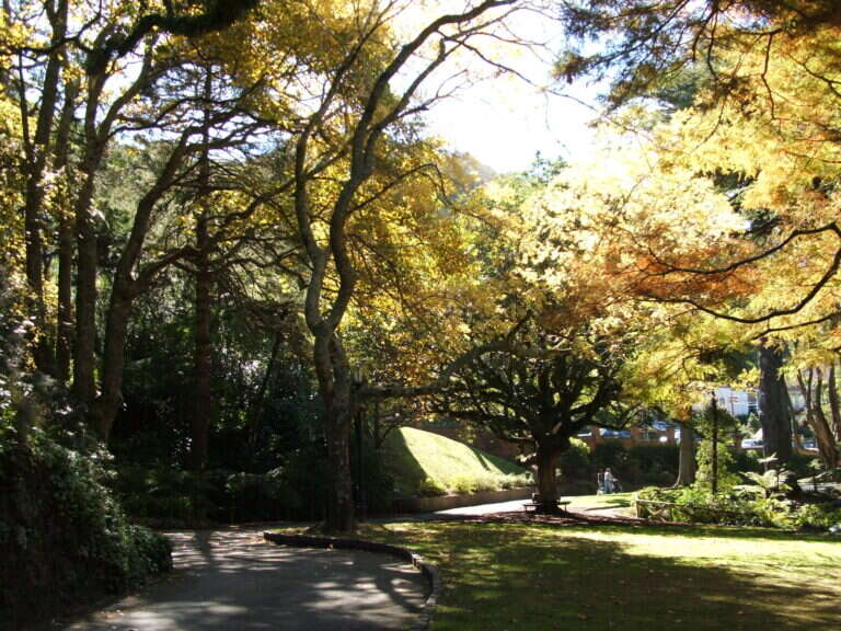 Wellington Botanic Garden in Wellington, New Zealand