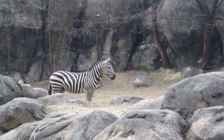 The Maryland Zoo in Bowie, United States