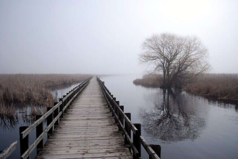 Point Pelee National Park in Canada, North America