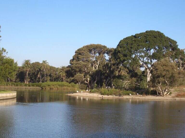 Centennial Park in Sydney, Australia