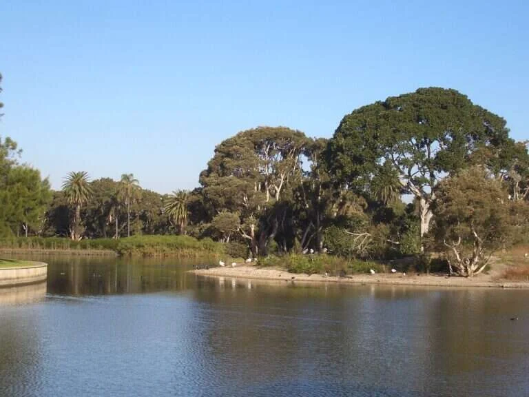 Centennial Park in Sydney, Australia