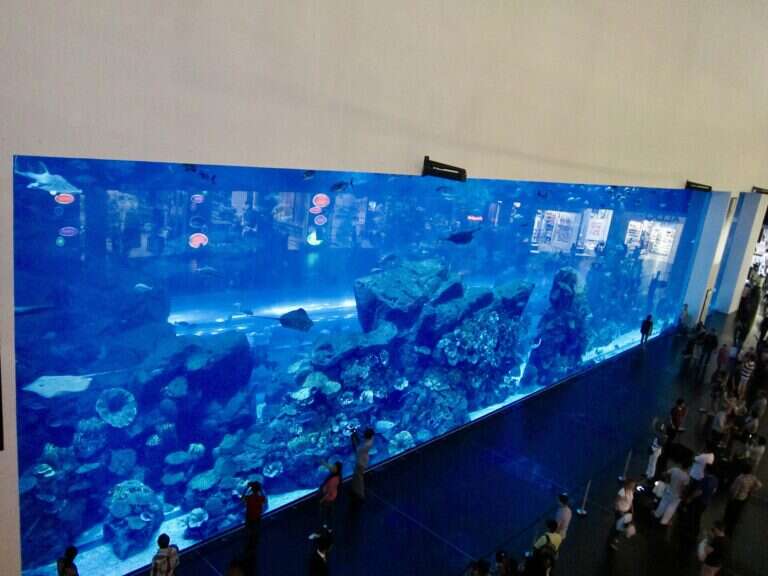 Dubai Aquarium and Underwater Zoo in Dubai, United Arab Emirates