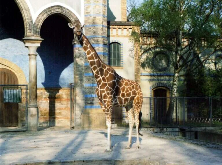 Berlin Zoological Garden in Berlin, Germany