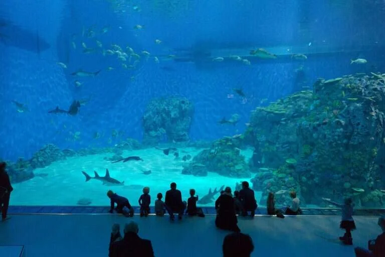 The Blue Planet in Copenhagen, Denmark