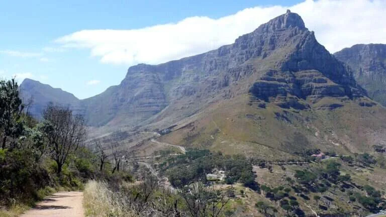 Table Mountain National Park in Cape Town, South Africa