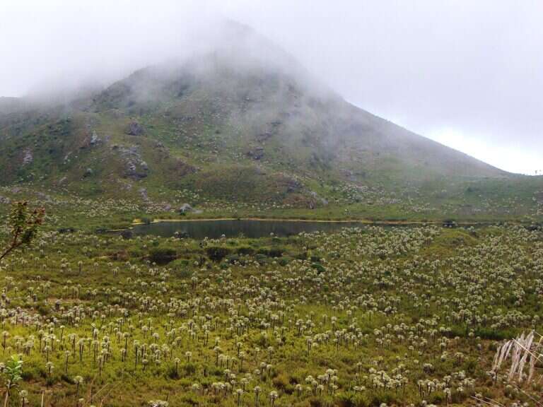 Chingaza National Natural Park in Bogotá, Colombia