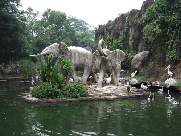 Ragunan Zoo in Jakarta, Indonesia