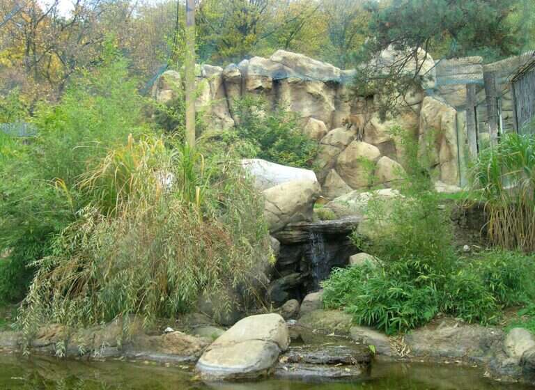 Brno Zoo in Czech Republic, Europe