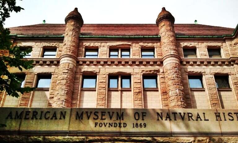 American Museum of Natural History in New York, United States