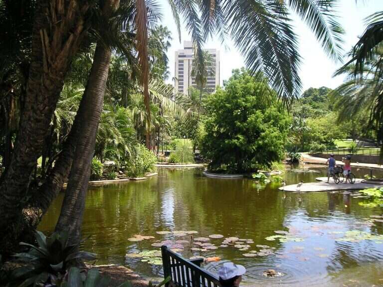 City Botanic Gardens in Brisbane, Australia