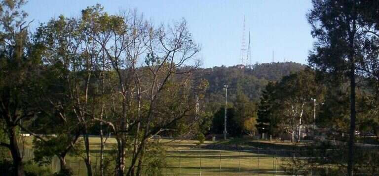 Brisbane Botanic Gardens, Mount Coot-tha in Brisbane, Australia