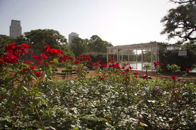 Parque Tres de Febrero in Buenos Aires, Argentina
