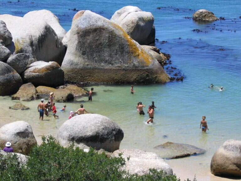 Boulders Beach in Cape Town, South Africa