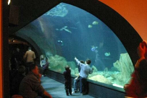 Aquarium de Paris in Paris, France