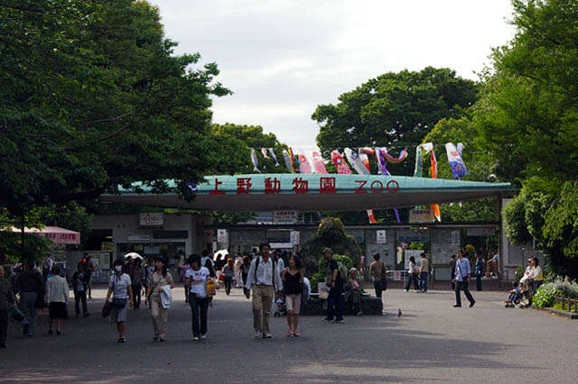 Ueno Zoo in Tokyo, Japan
